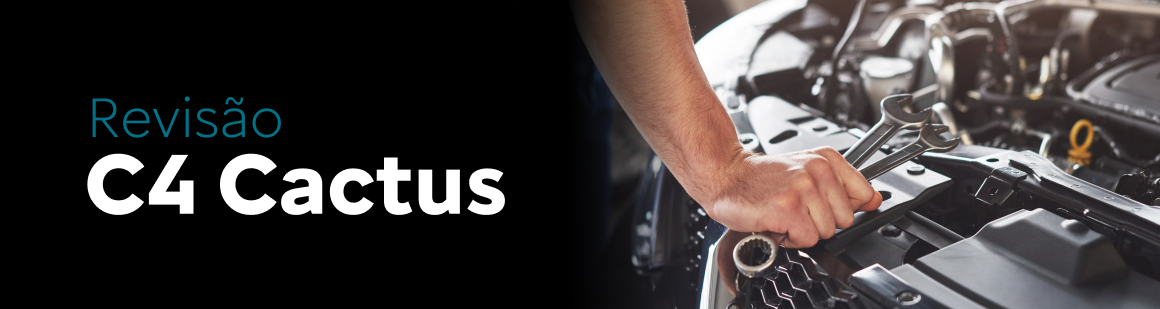 Banner citroen Serviços
