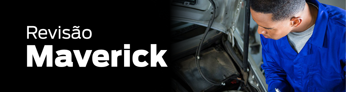 Banner ford Serviços