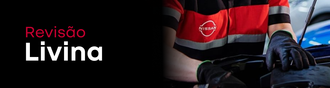 Banner nissan Serviços