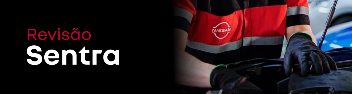 Banner nissan Serviços