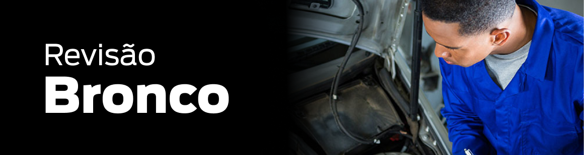 Banner ford Serviços