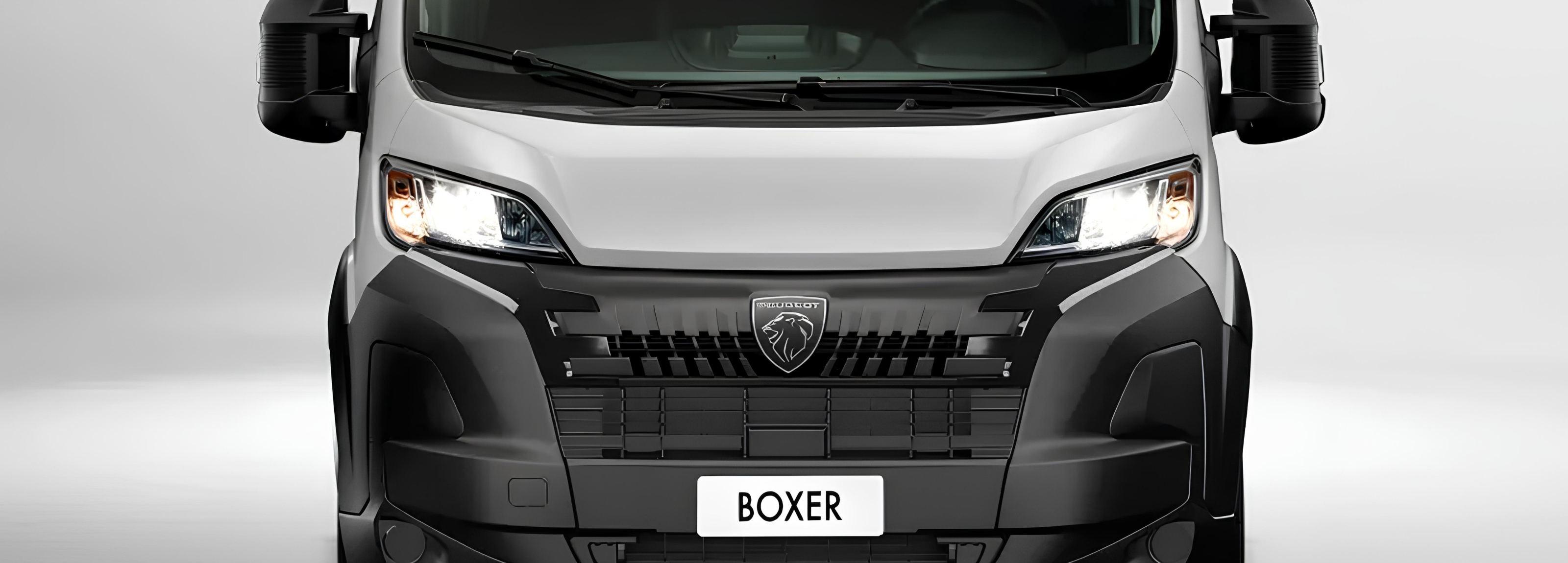 Boxer